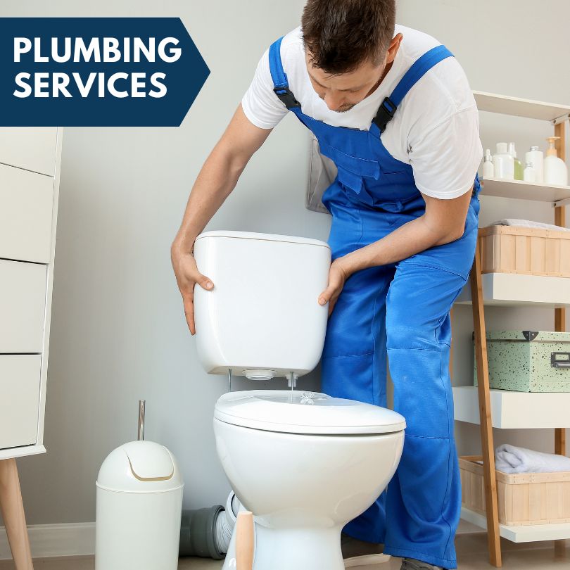 Plumbing Company in Palisade, CO